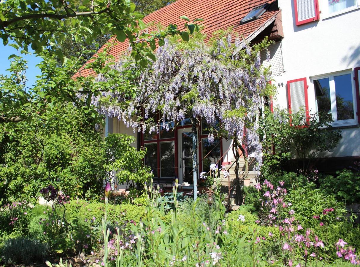 Zur Alten Scheune Balingen Bagian luar foto